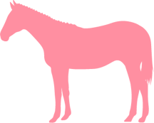 馬油・プラセンター